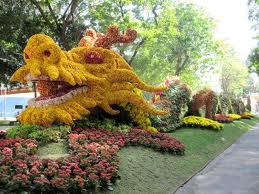 2012年春季花卉节下月举行